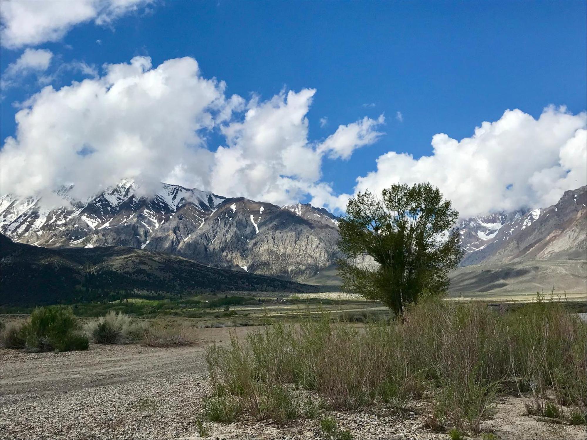 Mountainback #73, Den Villa Mammoth Lakes Exterior foto